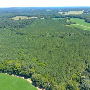 Photo #16 of 1455 Blonnie Ross, Polkton, NC