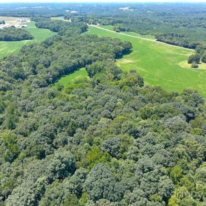 Photo #13 of 1455 Blonnie Ross, Polkton, NC