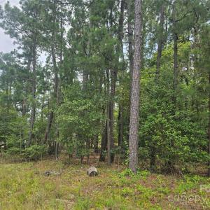 Photo #1 of Johnny Williams, Kershaw, SC