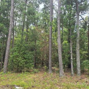 Photo #5 of Johnny Williams, Kershaw, SC