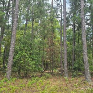 Photo #2 of Johnny Williams, Kershaw, SC