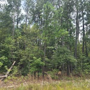 Photo #6 of Johnny Williams, Kershaw, SC