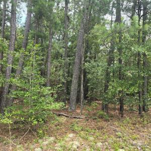 Photo #4 of Johnny Williams, Kershaw, SC