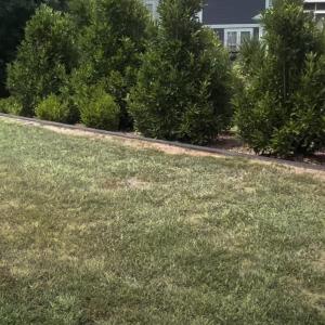 Photo #41 of 10219 Lakeshore, Lancaster, SC