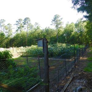 Photo #22 of L13 B28 MONROE, McCormick, SC