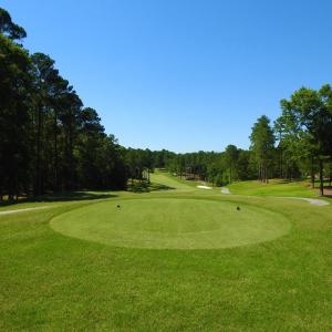 Photo #5 of L13 B28 MONROE, McCormick, SC