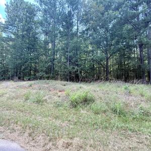 Photo #1 of 4.7 Acres Blade Run, Edgemoor, SC