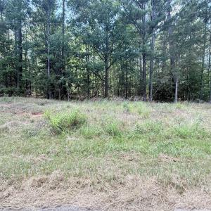 Photo #3 of 4.7 Acres Blade Run, Edgemoor, SC