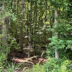 Photo #10 of Simpson, Waxhaw, NC