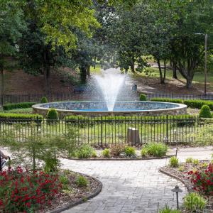 Photo #38 of 1006 Kingbird, Clover, SC