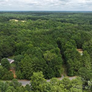 Photo #3 of 3.7 AC Debruhl, Chester, SC
