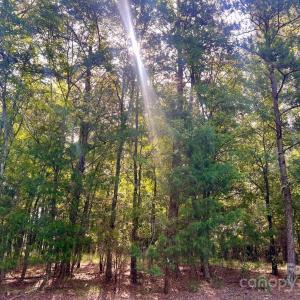 Photo #6 of 2031 Tiger Paw, York, SC