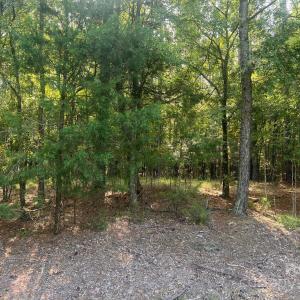 Photo #7 of 2031 Tiger Paw, York, SC