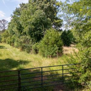 Photo #7 of 2548 Gordon, Rock Hill, SC