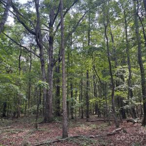 Photo #5 of Woody, Gold Hill, NC