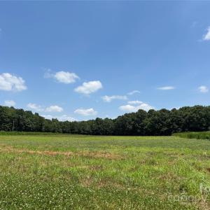 Photo #4 of Woody, Gold Hill, NC