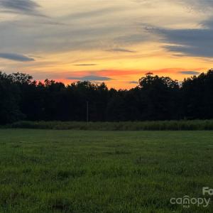 Photo #3 of Woody, Gold Hill, NC