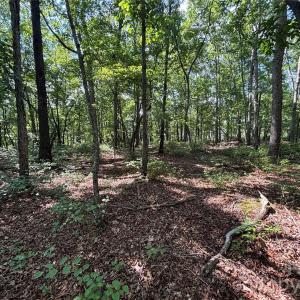 Photo #2 of Woody, Gold Hill, NC