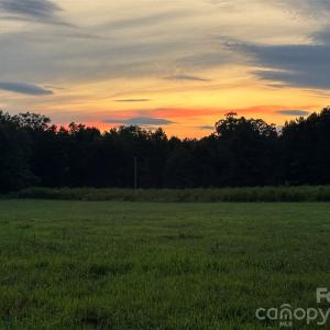 Photo #2 of Woody, Gold Hill, NC