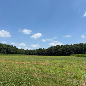 Photo #8 of Woody, Gold Hill, NC