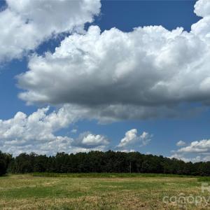 Photo #14 of Woody, Gold Hill, NC