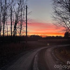 Photo #5 of Woody, Gold Hill, NC