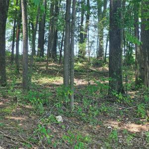 Photo #3 of Deer Tract, Lancaster, SC