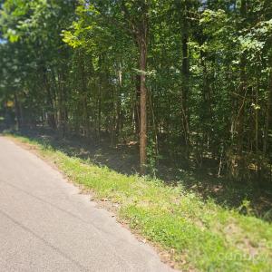 Photo #2 of Deer Tract, Lancaster, SC