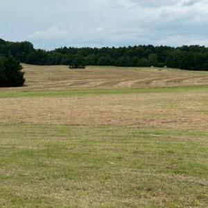 Photo #22 of 7602 Gus Eubanks, Monroe, NC