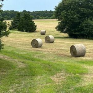 Photo #17 of 7602 Gus Eubanks, Monroe, NC