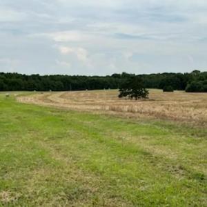 Photo #21 of 7602 Gus Eubanks, Monroe, NC