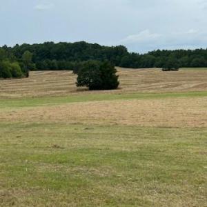 Photo #19 of 7602 Gus Eubanks, Monroe, NC