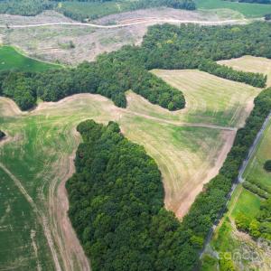 Photo #11 of 7602 Gus Eubanks, Monroe, NC