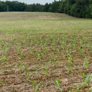 Photo #18 of 7602 Gus Eubanks, Monroe, NC