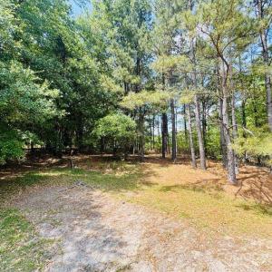 Photo #1 of 385 Elbert Baskins, Cheraw, SC