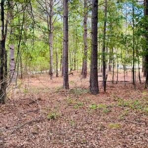 Photo #9 of 385 Elbert Baskins, Cheraw, SC