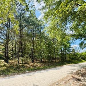 Photo #7 of 385 Elbert Baskins, Cheraw, SC