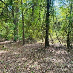 Photo #8 of 385 Elbert Baskins, Cheraw, SC