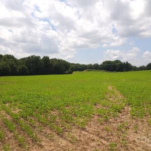 Photo #3 of TBD Traywick, Peachland, NC