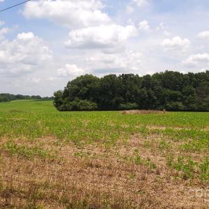 Photo #5 of TBD Traywick, Peachland, NC