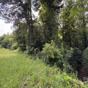 Photo #3 of Jackson, Chesterfield, SC