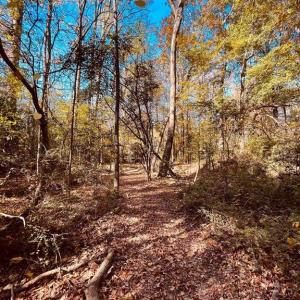 Photo #4 of Smyrna Church, Pageland, SC