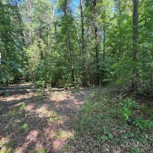 Photo #12 of 3400 Pleasant, Fort Mill, SC