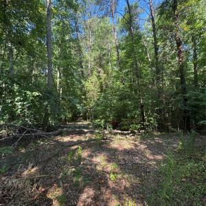 Photo #13 of 3400 Pleasant, Fort Mill, SC