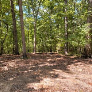 Photo #12 of Pageland, Lancaster, SC