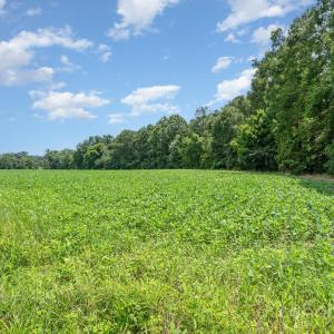 Photo #15 of Leonard Morgan, Marshville, NC