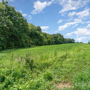 Photo #14 of Leonard Morgan, Marshville, NC