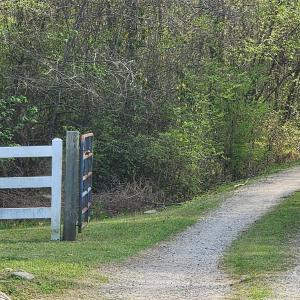 Photo #18 of 1202 Willow Brook, Nashville, NC