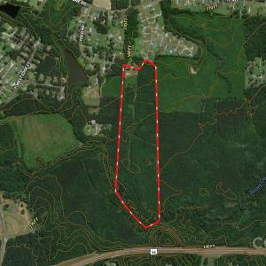 Photo #6 of 1202 Willow Brook, Nashville, NC