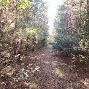 Photo #10 of 1202 Willow Brook, Nashville, NC